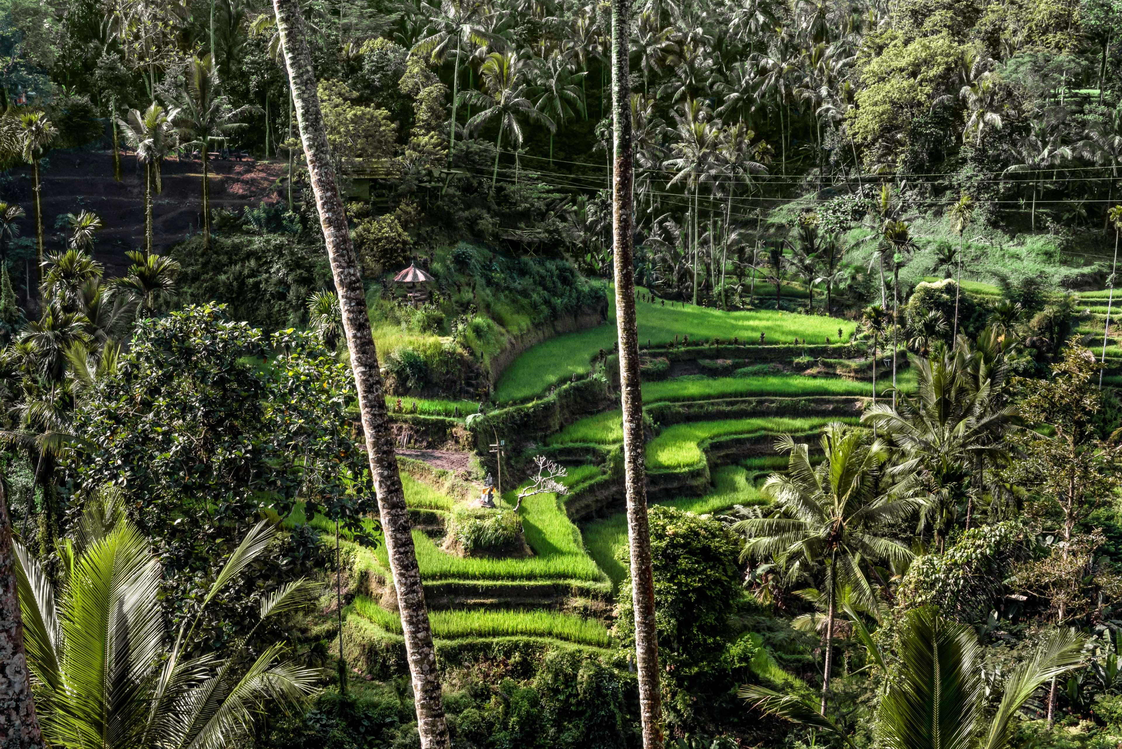 Amandari Hotel Ubud Kültér fotó